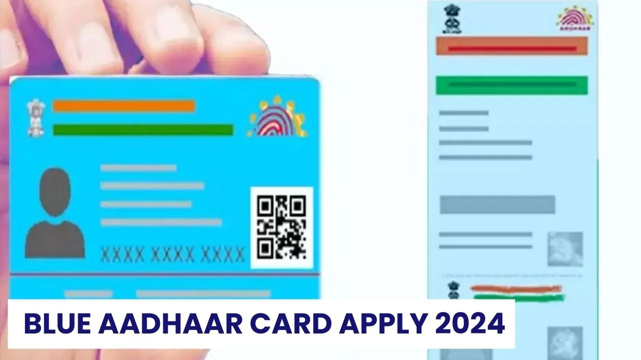 Blue Aadhaar Card